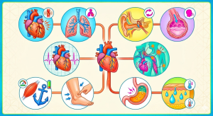 10 Warning Signs of Heart Disease You Should Never Ignore